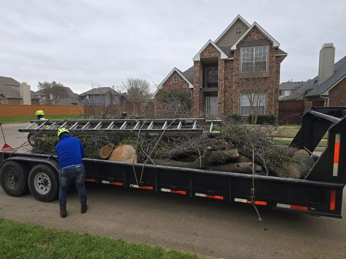 Expert Tree Fertilization with proper safety equipment in Rupert